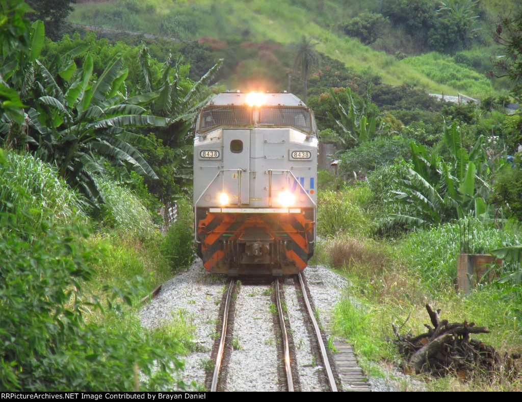 VLI 8438